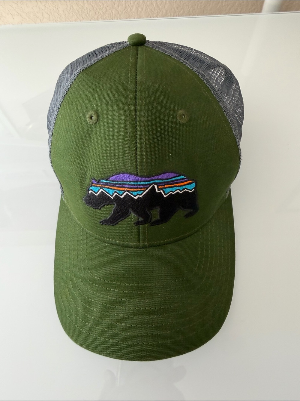 Patagonia ball cap